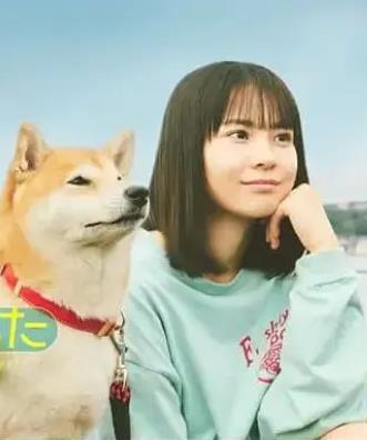 今日份的散步 第01集